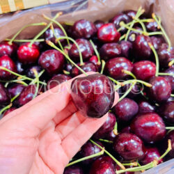 Patagonia Glynn Kordia Red Cherry