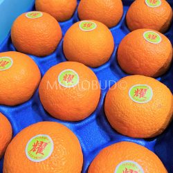 Japanese Tsunokagayaki Oranges Japanese Tsunokagayaki Oranges