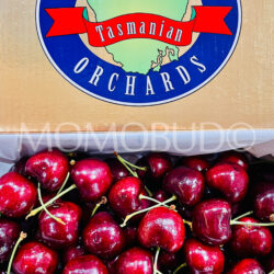 Premium Hansen Orchards Sweet Georgia Red Cherry (1kg Premium Gold Box) 32mm+