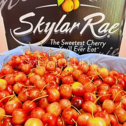 Washington Skylar Rae® Cherries