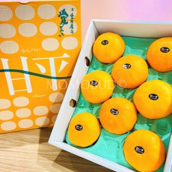 Japanese Kanpei Orange Gift Box (3kg) 1