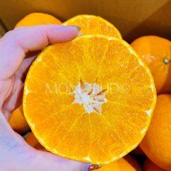Japanese Kanpei Orange slices