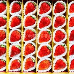 Japanese Manakokoro Strawberry Gift Box 1kg 3