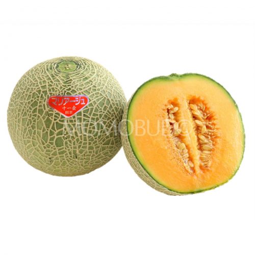 Japanese Mariage Red Melon