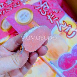 Japanese White Peach Kibidango Mochi cross section