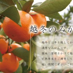 Kagawa Ettou Mikan