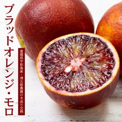 Moro Blood Orange