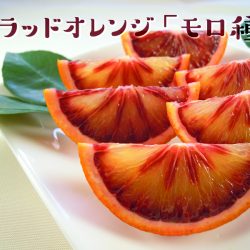 Moro Blood Orange slices