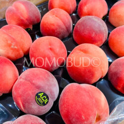 ACN Orchards White Peaches
