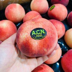 Golden Dragon ACN White Peach