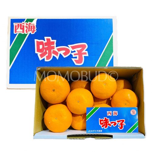 Japanese Saikai Ajikko Mikan Gift Box 1kg