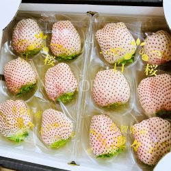 Japanese White Sakura Strawberry Tray 1