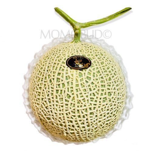 Miyazaki Red Muskmelon