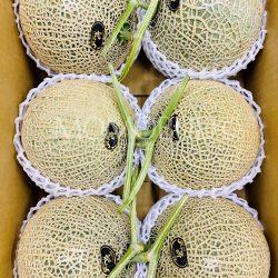 Miyazaki Red Muskmelons