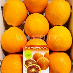 Oita Kitsuki Tarokko Blood Oranges