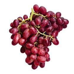 Itum 7 Red Seedless Grapes