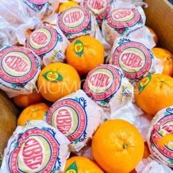 South African Tang Gold Mandarin Oranges