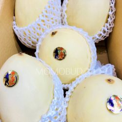 Japanese Homuran Melons
