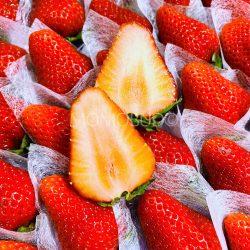 Japanese Sakuramomo Strawberry Cross section
