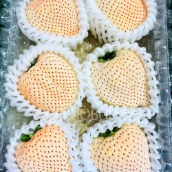 Jumbo Saga Yuki Usagi White Strawberries