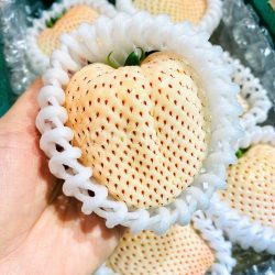 Jumbo Saga Yuki Usagi White Strawberry