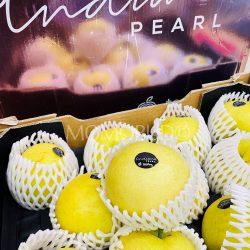 Temhem Indiana Pearl Nashi Pear Box