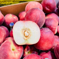 Australian Lowana Rich Snow White Peach cross section