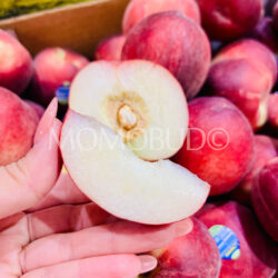 Australian Lowana Rich Snow White Peach slice