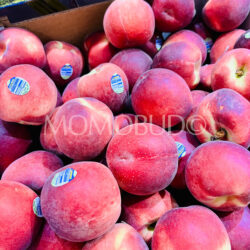 Australian Lowana Rich Snow White Peaches