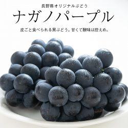 Nagano Purple Grapes