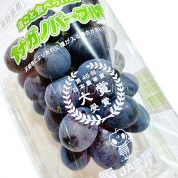 Nagano Purple Seedless Grapes 350g punnet 1