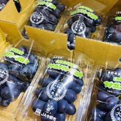 Nagano Purple Seedless Grapes 350g punnets