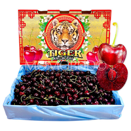 Washington Santina Red Cherry 5kg Box 9 row Washington Santina Red Cherry 5kg Box 9 row