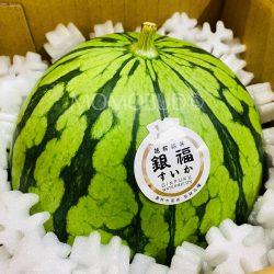 Japanese Ginfuku Watermelon
