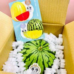 Japanese Ginfuku Watermelon brochure