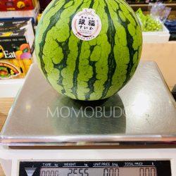 Japanese Ginfuku Watermelon weight