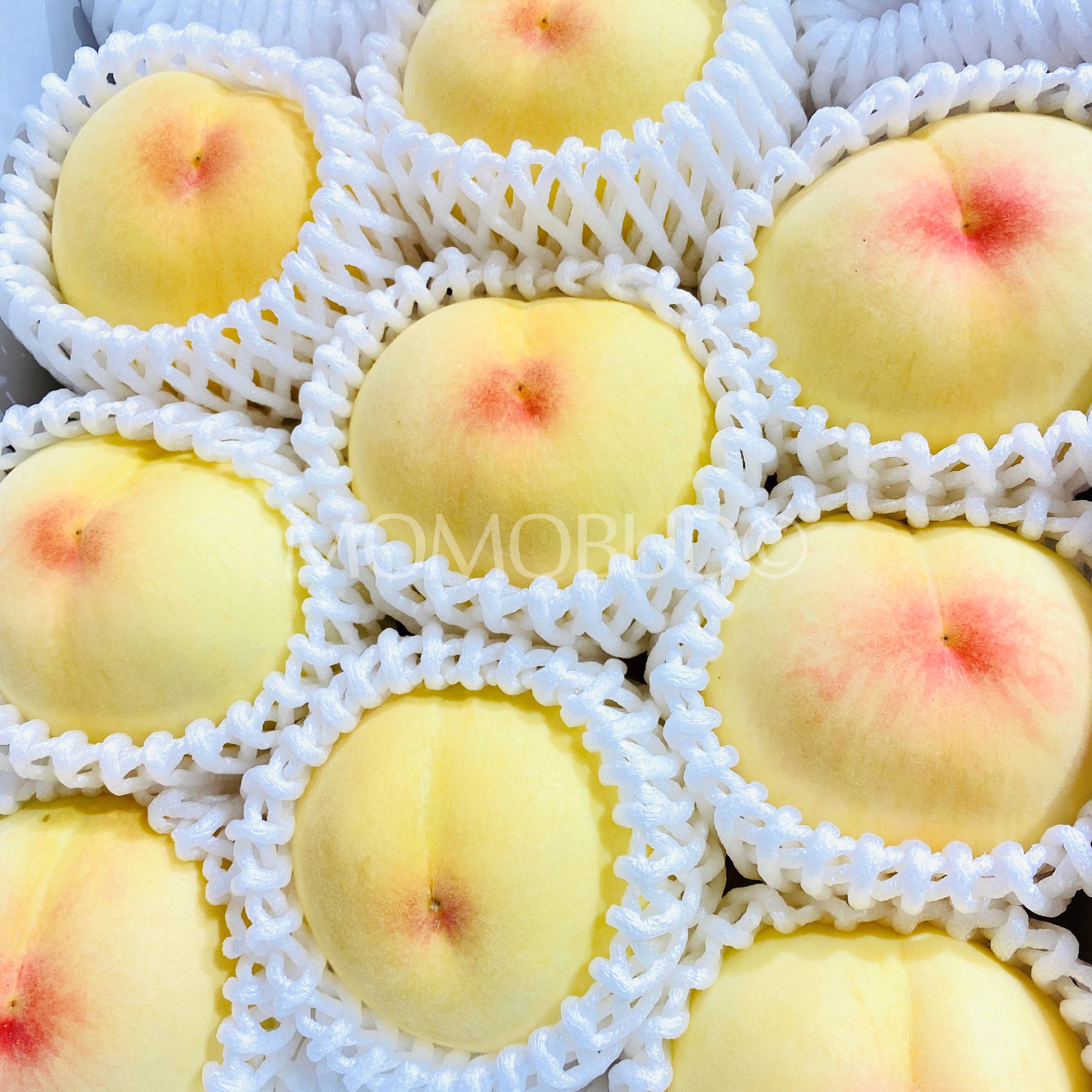 Japanese Sakigake Hakutou White Peach Gift Box (2kg) — MomoBud