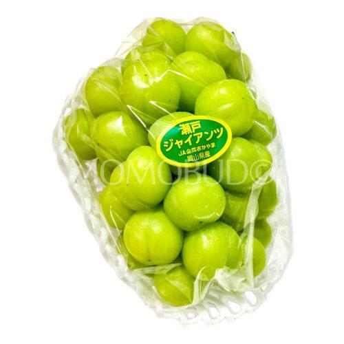 Japanese Okayama Seto Giants Grapes