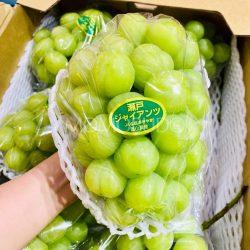 Japanese Okayama Seto Giants Grapes bunch