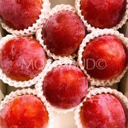 Japanese Summer Angel Plums