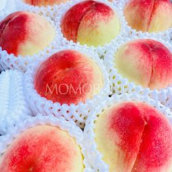 Japanese Wakayama Hakuhou White Peaches Japanese Wakayama Hakuhou White Peaches