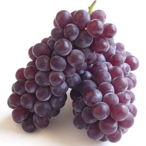 King Delaware Grapes