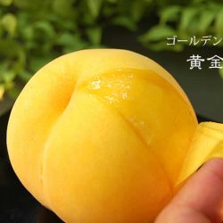 Japanese Golden Peach skin peel