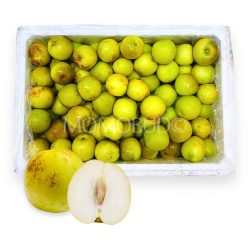 China Fresh Jujube Dates 5kg box