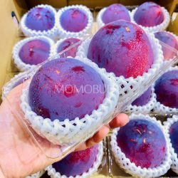 Japanese Yamanashi Kiyou Plum 400g pack Japanese Yamanashi Kiyou Plum 400g pack