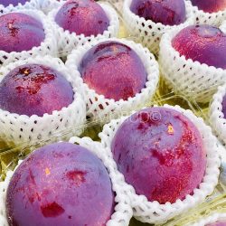 Japanese Yamanashi Kiyou Plum 400g packs Japanese Yamanashi Kiyou Plum 400g packs