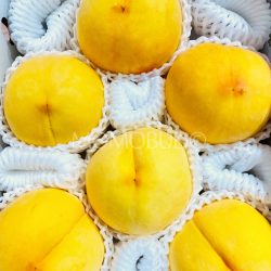 Japanese Yamanshi Golden Peaches 2.5kg