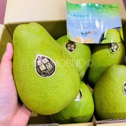 Taiwan Wendan Pomelo Gift box piece