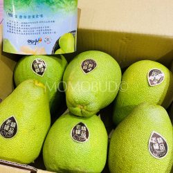 Taiwan Wendan Pomelo Gift box pieces