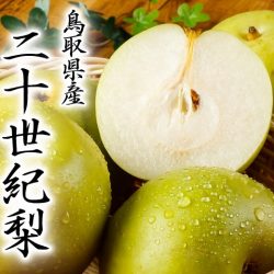 20th Century Pears 20th Century Pears